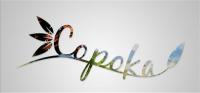 Copoka 免安装绿色中文版