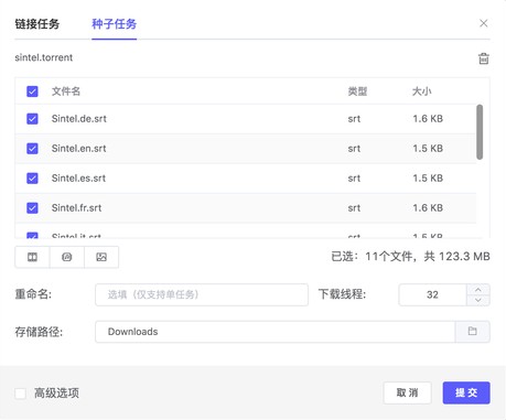 Motrix官方版添加種子任務(wù)時(shí)可選擇下載部分文件1