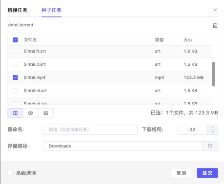 Motrix官方版添加種子任務(wù)時(shí)可選擇下載部分文件2