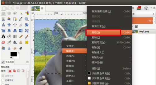 GIMP中文版怎么移動選取中的圖像并創建圖層