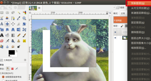 GIMP中文版怎么移动选取中的图像并创建图层