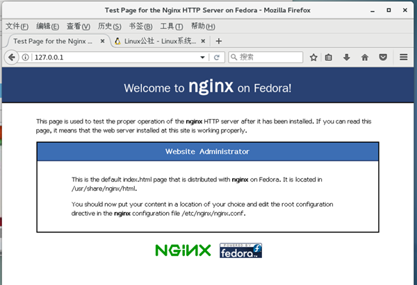 Nginx下载Windows截图