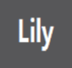 Lily5.0快捷啟動工具下載 免費版