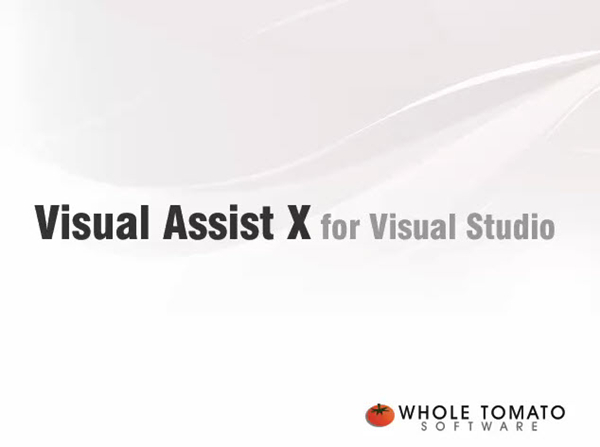 visual assist x特别版