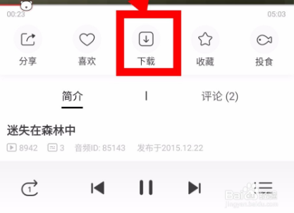 貓耳fm下載的音頻在哪