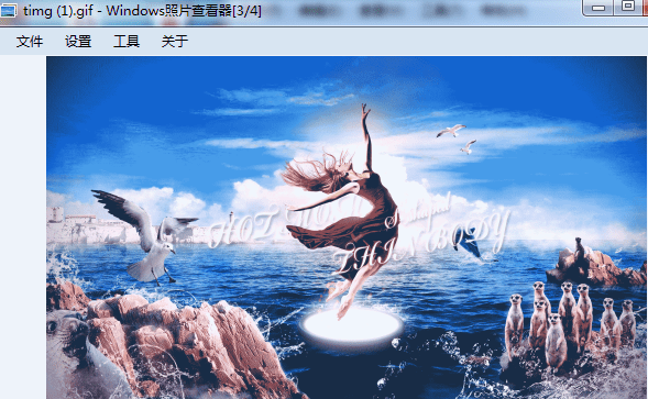 Windows照片查看器电脑版 第1张图片