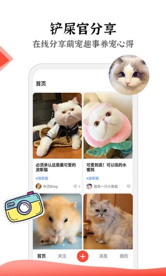貓貓社app