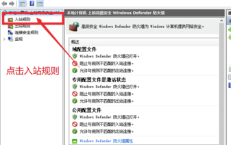 Lumion10.0中文特别版防火墙设置