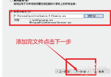 Lumion10.0中文特别版防火墙设置