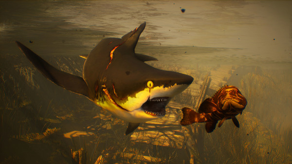 食人鲨游戏 第1张图片