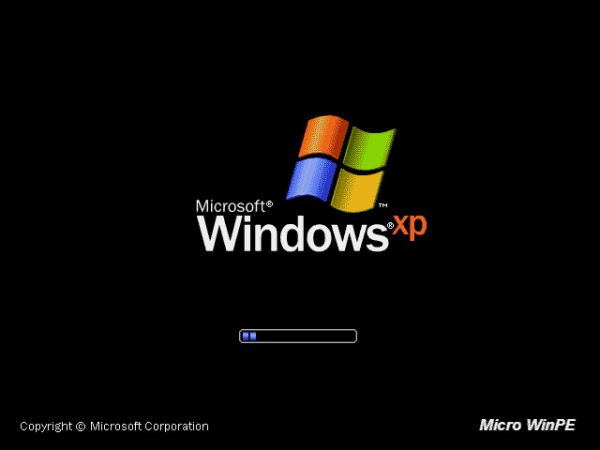 windows pe软件下载
