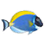 Sim AQUARIUM 2(魚缸屏保軟件) v2.6d 官方版