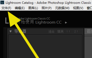 Lightroom cc2019特别版怎么导入照片