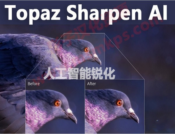 Topaz Sharpen AI截圖