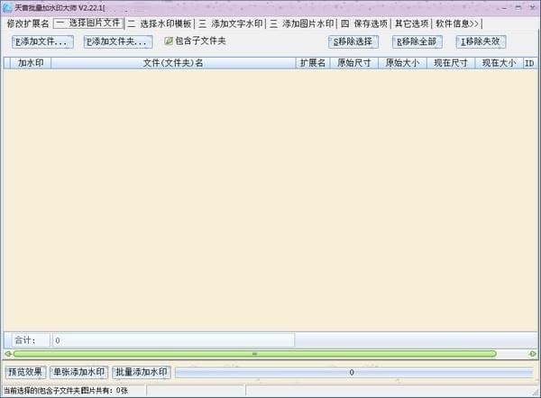 天音批量加水印大师特别版