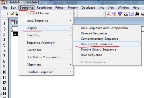 DnaMan软件怎么得到反向互补的DNA序列