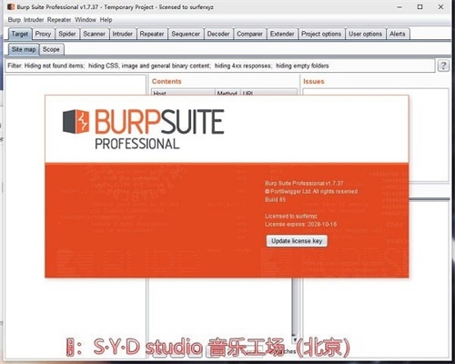 BurpSuite免费版截图