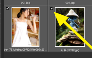 Lightroom中文破解版怎么导入照片