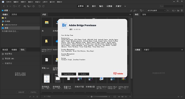 Adobe Bridge 2021特別版截圖