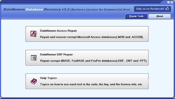 DataNumen Database Recovery免費版