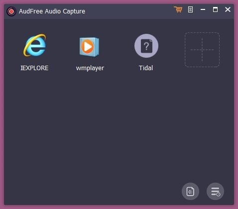 AudFree Audio Capture免费版