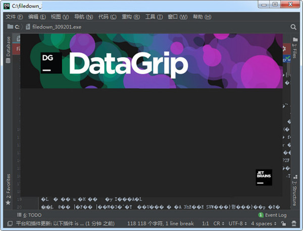 JetBrains DataGrip2020特别版截图