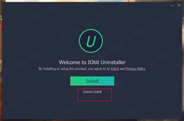 iobit uninstaller10特别版