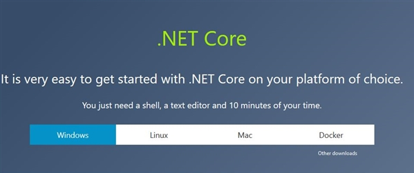 Microsoft .NET Core下载