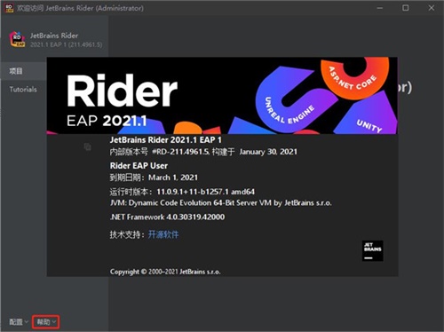 JetBrains Rider2021特别版截图