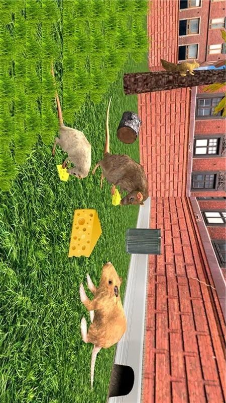 猫鼠之战游戏下载 第1张图片
