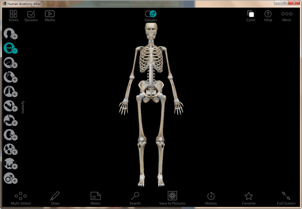 Human Anatomy Atlas Windows特别版