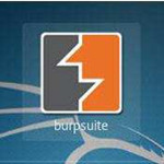 BurpSuite Pro 2021最新版 v2021.3.2 汉化破解版