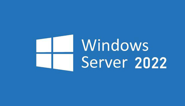 Windows Server2022特别版