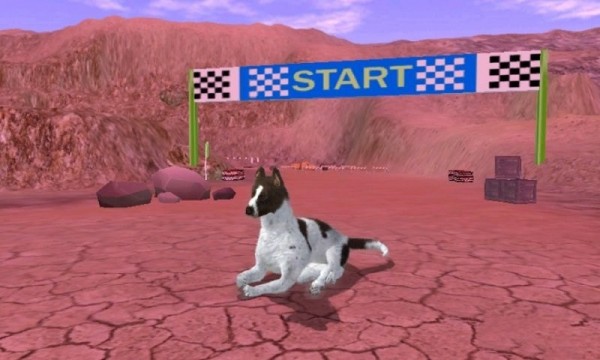 猎犬模拟器下载 第3张图片