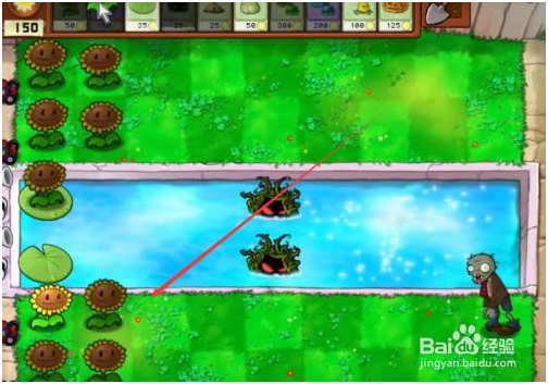 植物大戰僵尸單機版手機版泳池模式怎么玩 第3張圖片