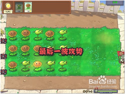 植物大战僵尸中国版怎么玩 第5张图片