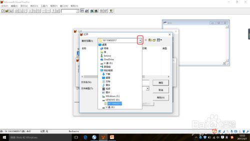 Visual FoxPro怎么設置默認文件5