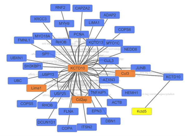 怎么通过Cytoscape获得网络数据3