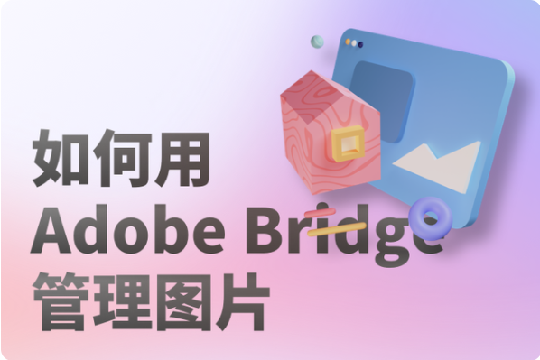 如何用Adobe Bridge管理圖片1