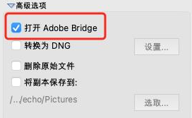 如何用Adobe Bridge從相機中下載圖像10