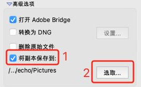 如何用Adobe Bridge從相機中下載圖像11