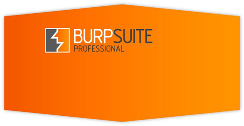 BurpSuite2022破解版1