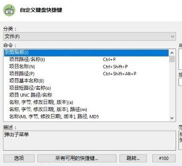 XYplorer PRO中文注冊版快捷鍵使用2