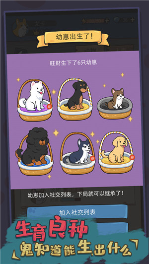 狗生模拟器安卓最新版游戏介绍