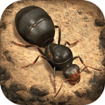 小小蟻國無限鉆石版 v1.31.0 安卓版