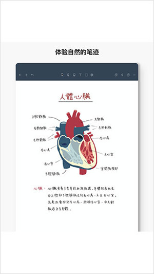 Noteshelf2022中文最新版 第2张图片