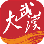大武汉app v7.5.2 安卓版