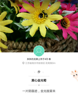 形色植物识别app使用方法4