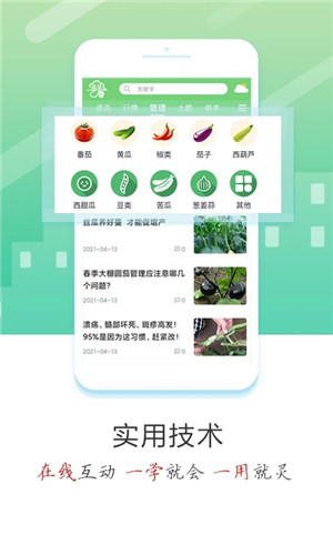 蔬菜云app 第2张图片