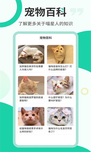 猫语翻译机免费下载 第2张图片